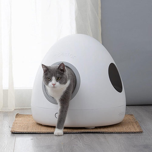 Moestar spaceship smart pet nest: full specifications, photo |  