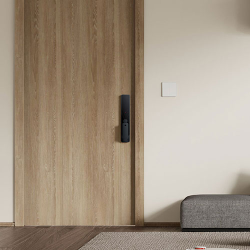 Xiaomi Face Recognition Smart Door Lock X