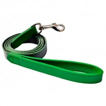 Dog Strip 52cm-59cm x 2.5cm Green
