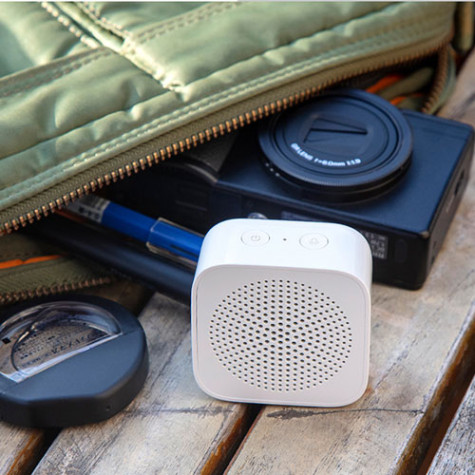 Xiaomi XiaoAi Portable Speaker