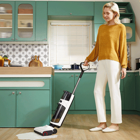 Roborock Dyad Air Vacuum Cleaner