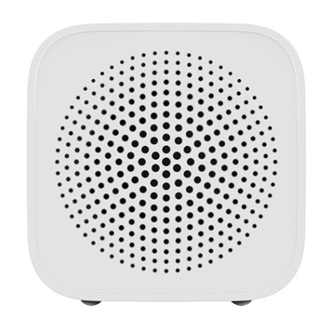 Xiaomi XiaoAi Portable Speaker