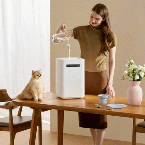 Smartmi Evaporative Humidifier 3