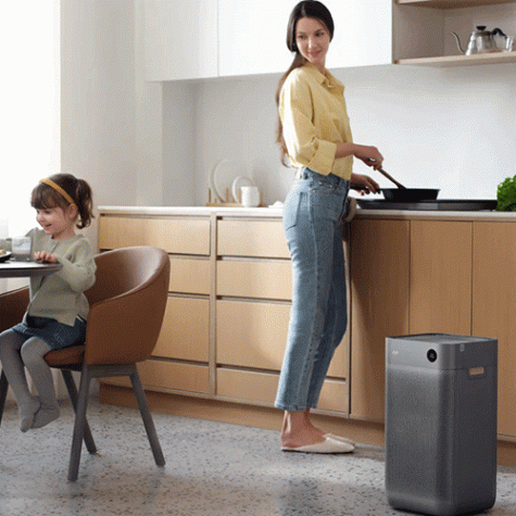 Smartmi Jya Fjord Air Purifier