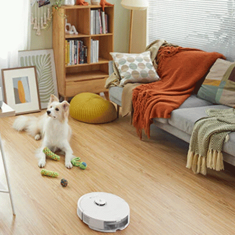 Roborock Q8 Max Robot Vacuum Cleaner White