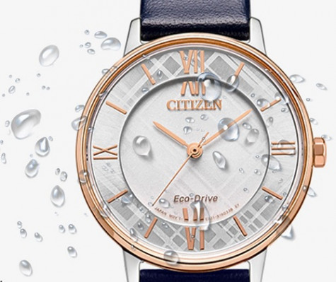 Citizen EM0527-18A Watch