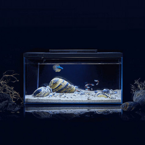 petkit fish tank