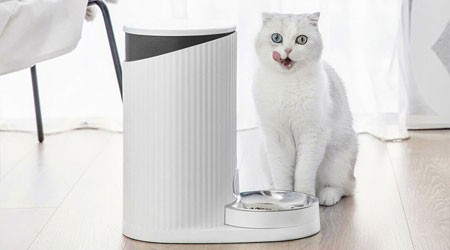 Smart Pet Feeder Was Launched At MiOT Crowdfunding Platform